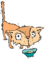 4catdrinkmilk.gif